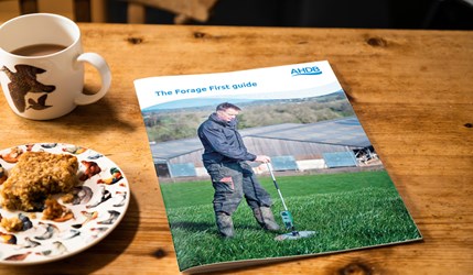 Forage First Front Cover